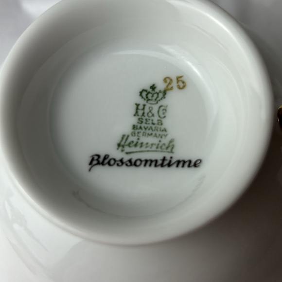 H & Co Selb Bavaria Germany Heinrich BLOSSOMTIME Pattern tea cup & saucer number - Picture 6 of 8